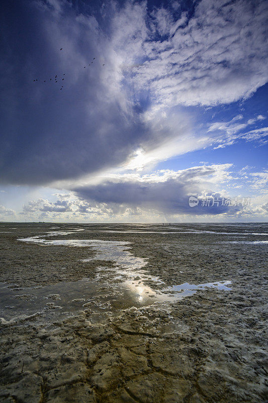 Wad或wadden空景观在瓦登海自然保护区'de wadden '与潮汐沙滩在荷兰北部